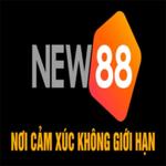 New88 – Nhà cái uy tín hàng đầu châu Á