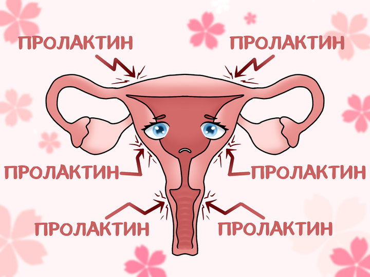 Стресс, пролактин и сбой цикла: что связывает эти три фактора?