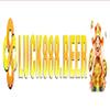 LUCK8 88 beer