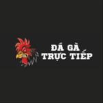Đá Gà Trực Tiếp