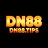 DN88