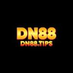 DN88 Tips