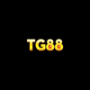 tg88ca@gmail.com