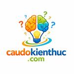 Câu Đố Kiến Thức
