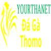 Đá Gà Trực Tiếp Thomo