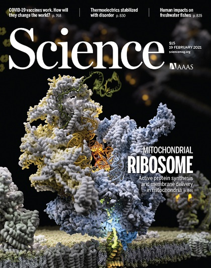 SciNat за февраль 2020 #3: транспозоны в генах, извлечение самой древней ДНК и новый метод получения транскриптомов из прокариот