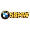 5BMW Game