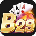 b29