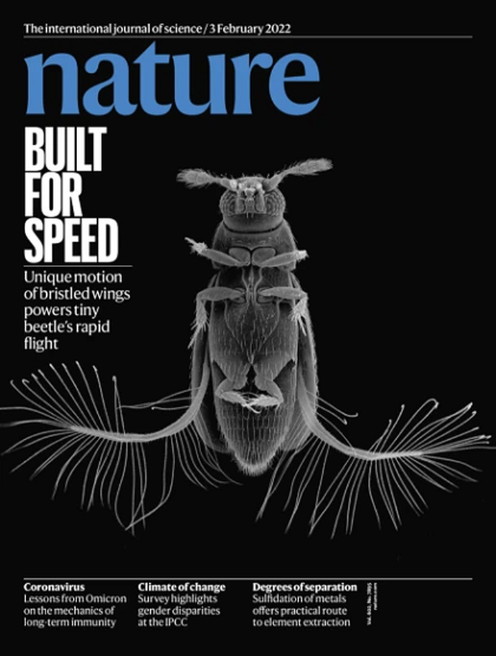 SciNat за февраль 2022: переоцененная эпигенетика, перепрограммированные иммунные клетки и новые штаммы вирусов