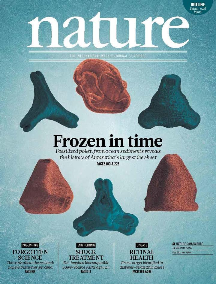 SciNat за декабрь 2017 #2: ДНК-осциллятор, эволюция искусственных капсидов и механизмы роста пыльцевой трубки