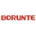 Borunte
