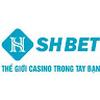 SHBet123 Top