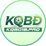 KQBD 18pro