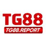 TG88 report