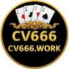 CV666 WORK