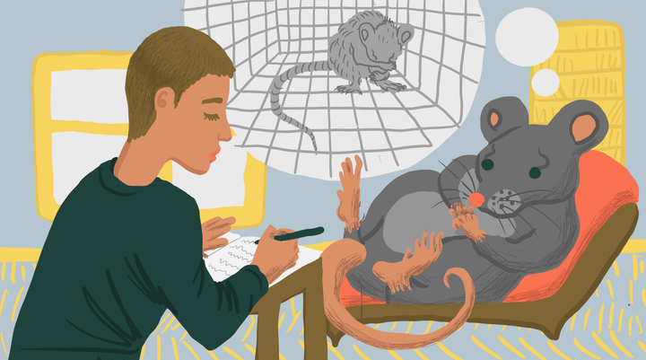 Трансляционная психиатрия — как моделировать психические расстройства на животных?