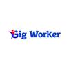 Gig Worker