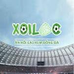 Xoilac TV Trực Tiếp Bóng Đá