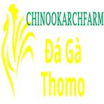 Đá Gà Trực Tiếp Thomo