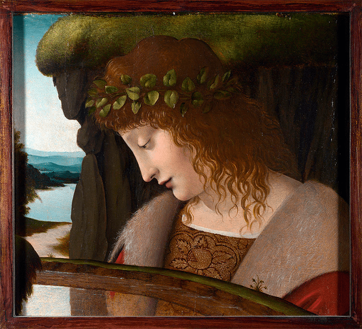 Упреки в нарциссомике