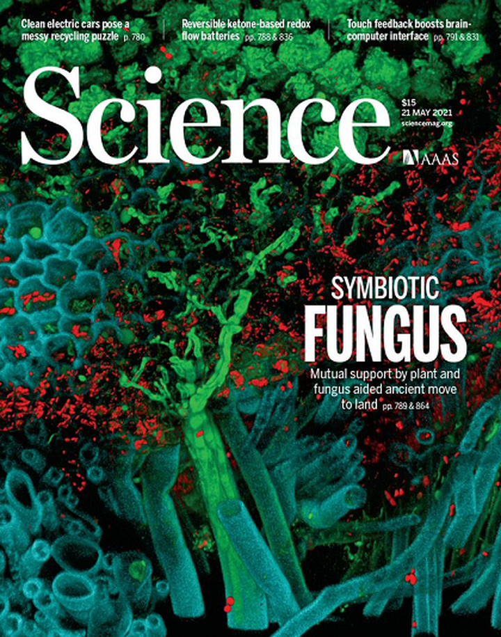 SciNat за май 2021 #3: нейроиммунология регенерации, убиквитиновые «метки» ЛПС бактерий и что помогло растениям заселить сушу