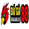 ĐÁ GÀ 88