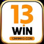 13Winv3
