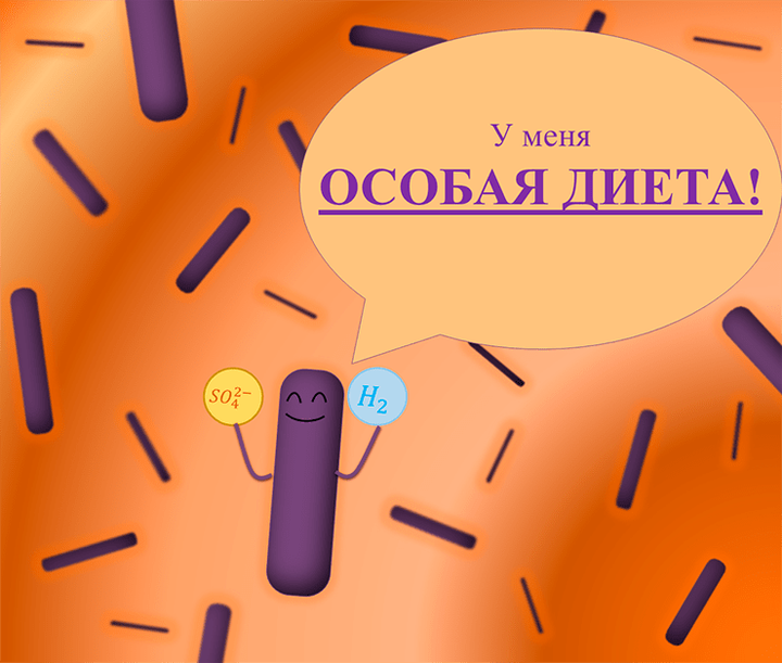 Особая диета: молекулярный водород три раза в день, ионы сульфата перед едой