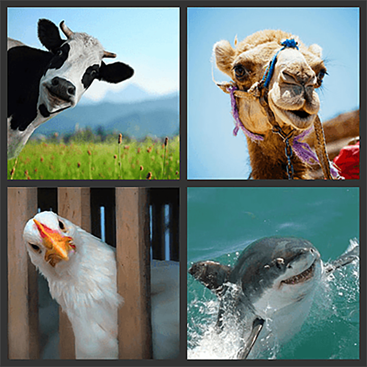 Необычные животные: иммунологические сказки