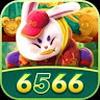 6566baixarcombr