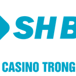 phuong816467@gmail.com