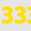 Bet3333 A Plataforma Oficial de Cassin