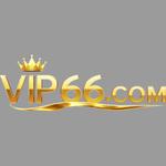 Vip66 training