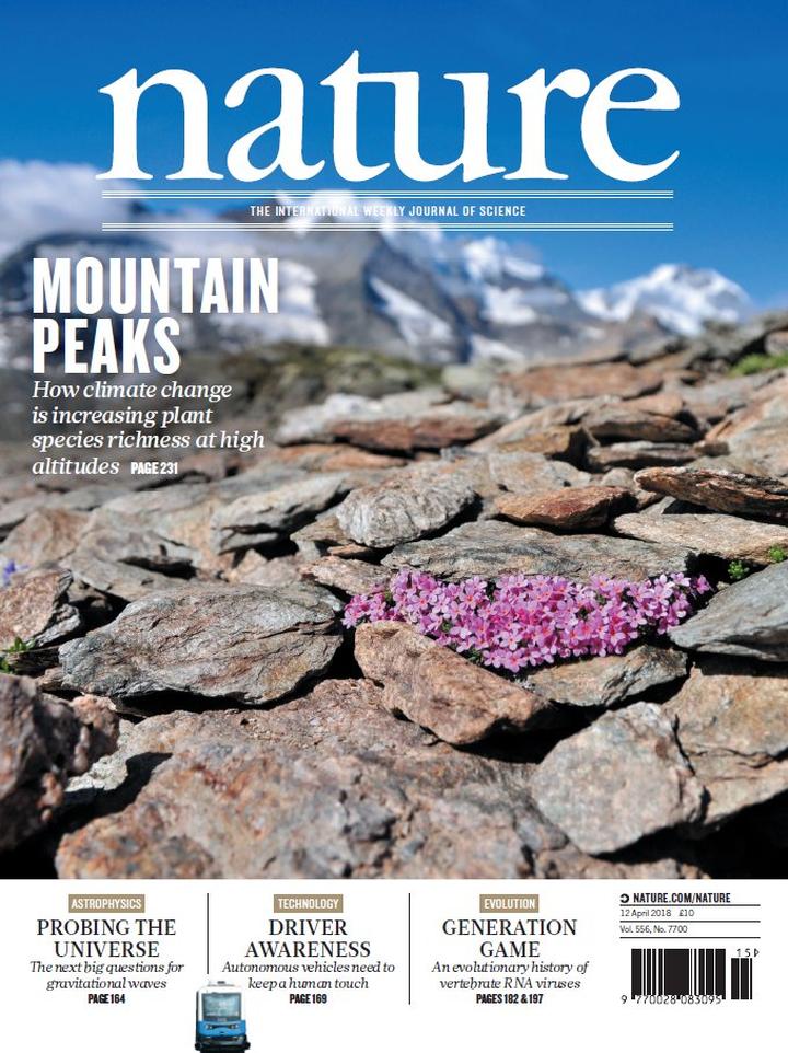 SciNat за апрель 2018 #2: нейроны родительской заботы, идеальное жилье для норовируса и трагический половой диморфизм