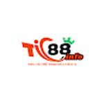 Tic88 info