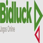 Bidluck Casino