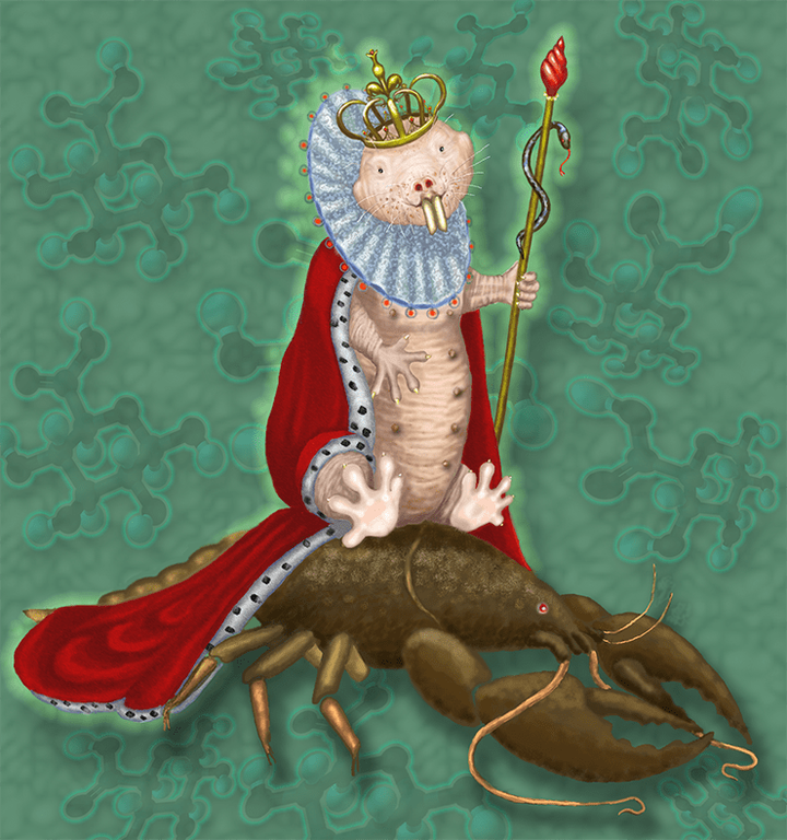 Преодолевшие старение. Часть II. Дети подземелья