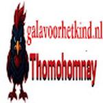 thomohomnay galavoor