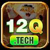 12Q tech