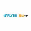 Fly888 it com