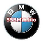 55BMW slot