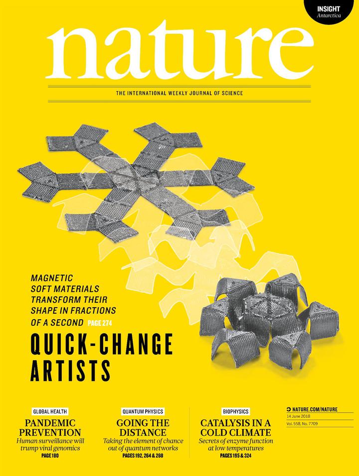 SciNat за июнь 2018 #3: как просто поменять пол, что помогает нам засыпать и какие перспективы дает Т-клеткам «коллективизация»