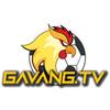 Gavang TV