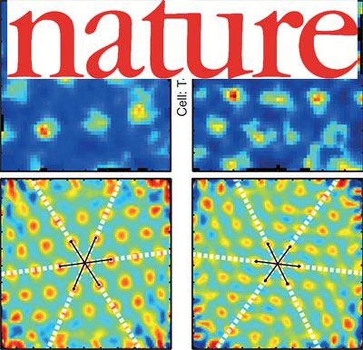 Sci+Nat: Дайджест за вторую неделю февраля-2015