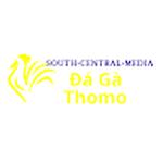 Đá Gà Trực Tiếp Thomo