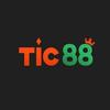 TIC88 VIP Jsj