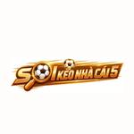ltd Soi Kèo Nhà Cái 5