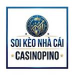 SOI KÈO NHÀ CÁI CASINOPINO