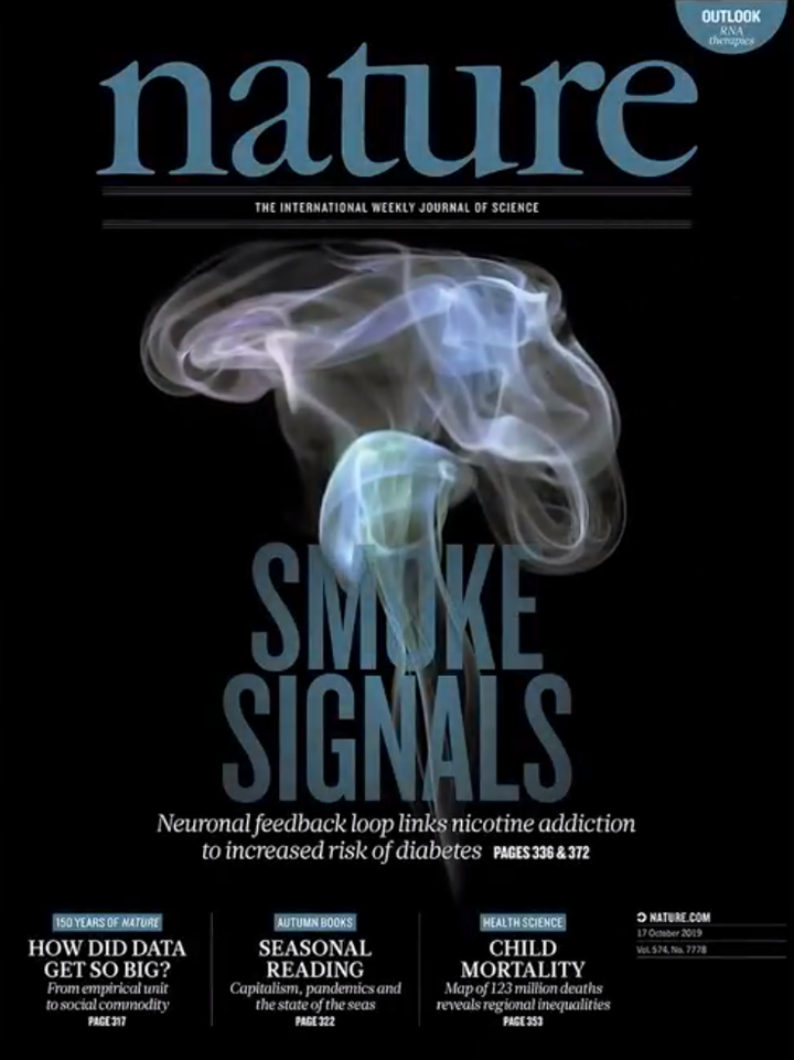 SciNat за октябрь 2019 #3: спящие опухоли, свиной вирус и «никотиновый» диабет