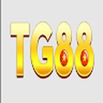 tg88dcom
